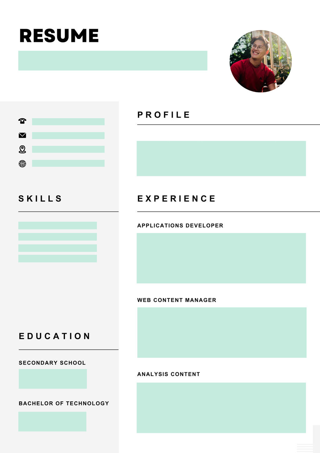 a visual representing a standard resume